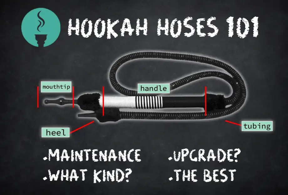 Hookah Hoses 101: A Definitive Guide