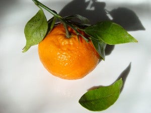 Shisha Review: Hydro Herbal Shisha & Herbal Molasses - Tangerine Feen