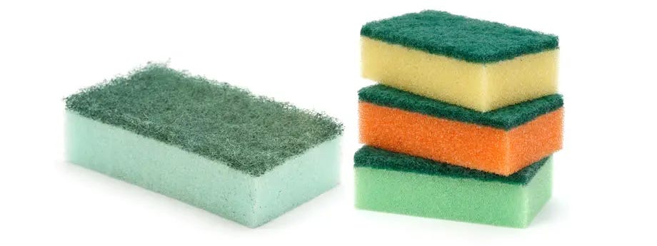 Sponges