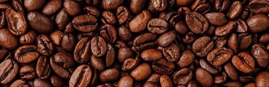 Close up of coffee beans