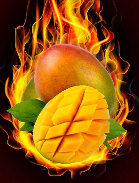 Mango on fire