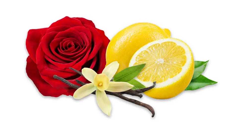 Rose with lemon and vanilla