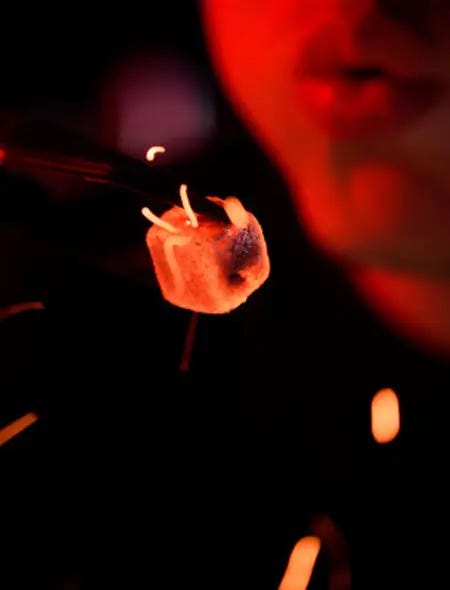 Person blowing on glowing piece of hookah charcoal