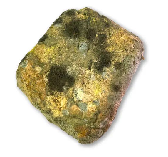 Block of mold spores