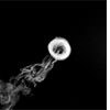 Hookah Smoke Tricks